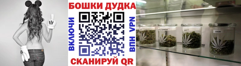 ГАШИШ Боровичи