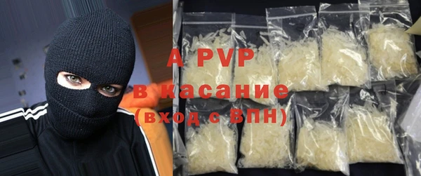 стаф Карпинск